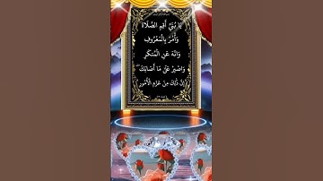 تلاوة رائعة للقرآن الكريم - آيات مؤثرة تهز القلوب"