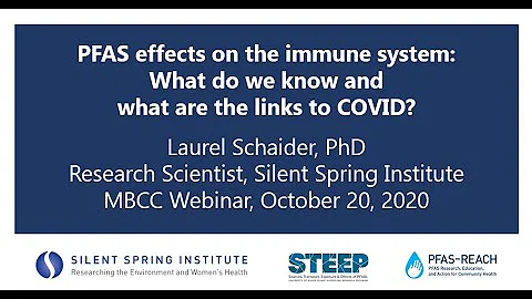 PFAS Effects on the Immune System:  What Do We Know and What are the Links to COVID 19