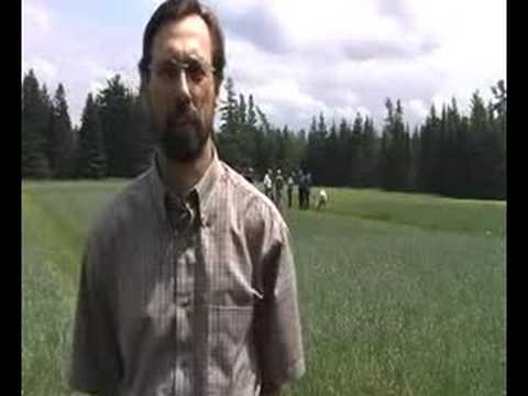 Field Tour:  Organic Cereal Fertility Experiments