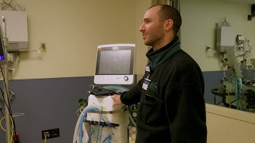 Exploring Careers in Medicine | Red Sox Scholars at BIDMC