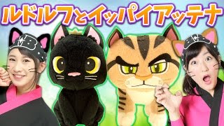 【クレーンゲーム】映画化も話題の「ルドルフとイッパイアッテナ」ぬいぐるみGET！