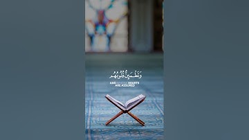 سورة الرعد {الآية 28} بصوت الشيخ إسلام صبحي ❤️💖