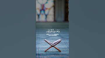 سورة الرعد {الآية 28} بصوت الشيخ إسلام صبحي ❤️💖