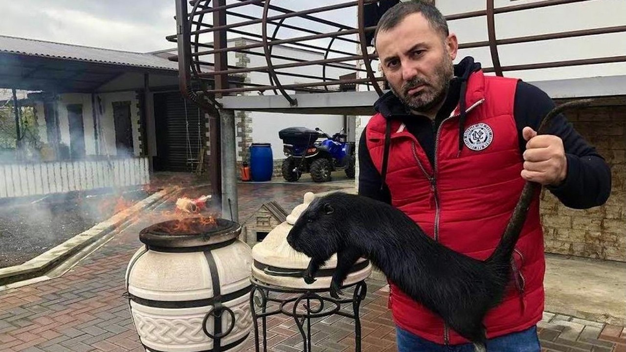 Мясо в тандыре  Шашлык из нутрии