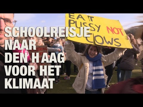 GSTV. Klimaatspijbelaars redden de wereld op demonstratie