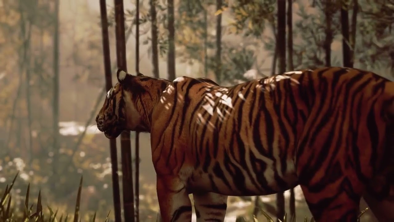 Animal Senses: Decoding the Secret animal World