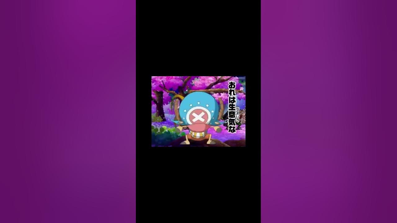 麦わらの一味verウィーゴー
