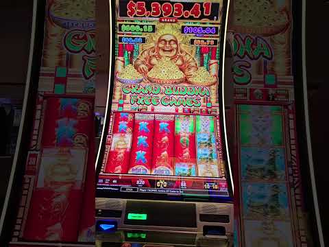 Is there math on the Buffalo machines? 🤔 #vegas #casino #slot #jackpot #win