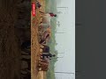 #village #farming #trending #viral  #naturelovers #video #poor #bulles #farmer