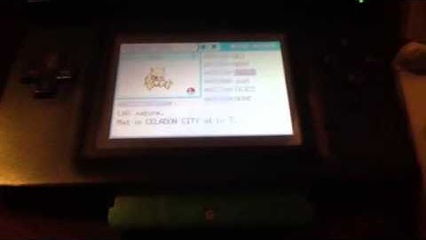 We found a shiny abra!