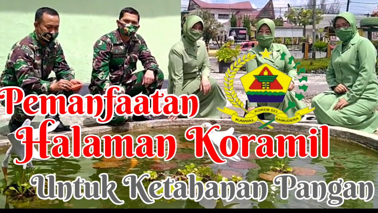 Pemanfaatan Halaman Koramil Untuk Ketahanan Pangan - YouTube