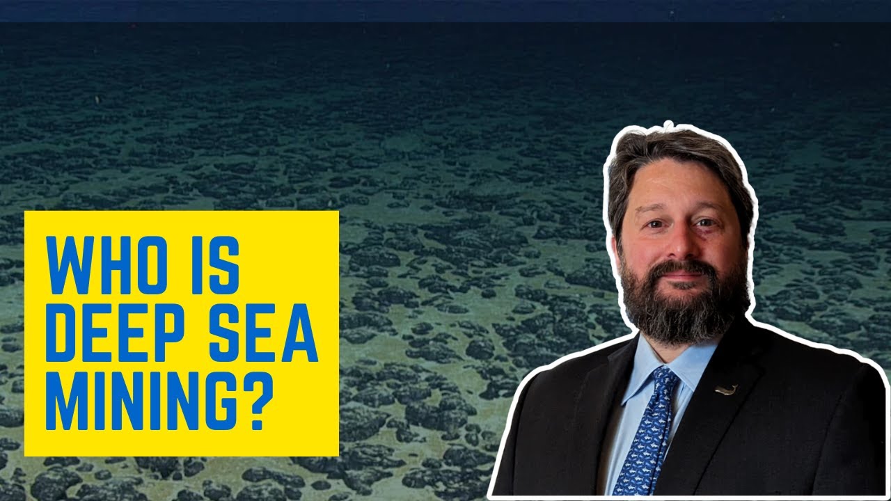 Deep Sea Mining: What Happened In 2024?