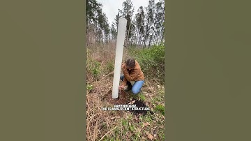 Placing Grow Tubes over Chestnut Trees 🌱