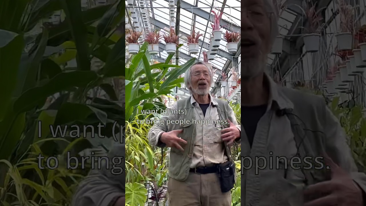 Botanical legend - Mr Kunzo from Japan. We tour his rare plant