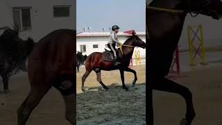 #horse #islombek #galop