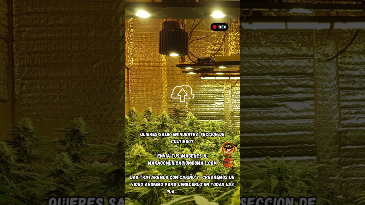 ¿Quieres salir en nuestra sección de Cultiveo? 👀