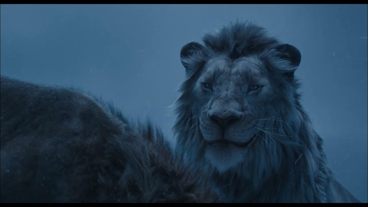 Mufasa: The Lion King| "Fight With Me"| In Theaters December 20 - Exploring the unlikely rise of the beloved king of the Pride Lands, “Mufasa: The Lion King” enlists Rafiki to relay the legend of Mufasa to young lion cub Kiara