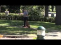 Skye (Nova Scotia Duck Tolling Retriever) Trained Dog Video Skye (Nova Scotia Duck Tolling Retriever) Trained Dog Video