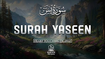 Surah Yaseen (سورة يس) | Heart-Touching Tilawat for Peace, Barakah & Guidance | Haven Holy Quran