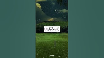 والتين والزيتون ❤️ تلاوة قصيره 💙💚💙