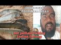 Pathan fish kha bat fishing