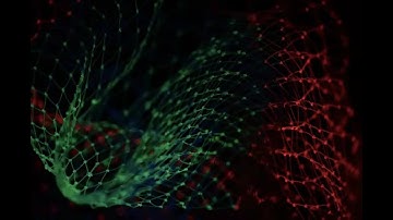 Matej Zečević: Relating Graph Neural Networks to Structural Causal Models