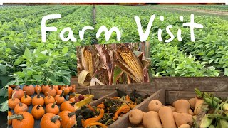 Vegetable Fruit Picking | U Pick Farm Visit |Farm Tour| Lee Turkey Farm Visit | Vegetable Farm by NJ Diaries 4,969 views 2 years ago 7 minutes, 37 seconds