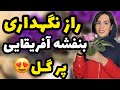 چطور بنفشه آفریقایی را مثل حرفه ای ها نگهداری کنیم راز گلدهی این گیاه 