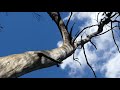 Top Kalatha Track Offtrack 01 4K Top Kalatha Track Offtrack 01 4K