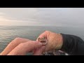 Irresistible Crystal Minnow catches anything