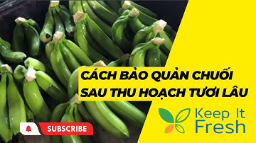 Cách Bảo Quản Chuối Sau Thu Hoạch Tươi Lâu 😍😍😍 - Keep It Fesh