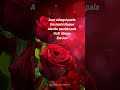 Avan azhagai paada oru mozhi illaiye💕💕 Tamil whatsapp status ❤