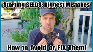 3 Biggest Mistakes When Starting Seeds Indoors or Outdoors // How to Avoid or Fix Them!
