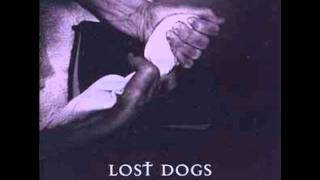 Watch Lost Dogs Be My Hiding Place video