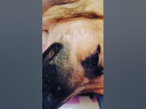 Сына Ричард... - YouTube