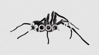 Spider walk cycle loop side