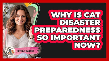 Why Is Cat Disaster Preparedness So Important Now? - Happy Cat Handbook