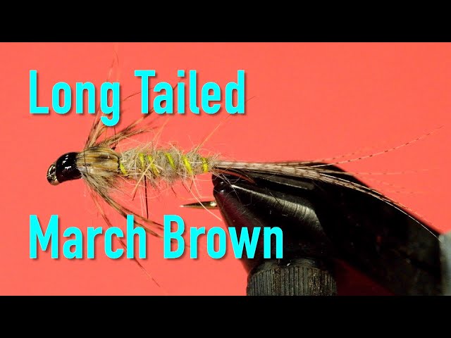 Tying Mayfly and Caddis Nymphs: the Long Tailed March Brown 