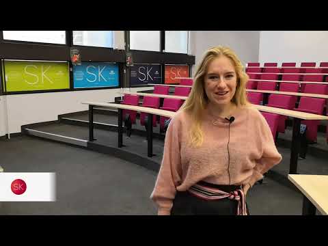 [PROGRAMME] MSc Business Consulting & Digital Transformation: 4 students share their views | SKEMA