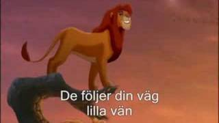 Lion King 2 - We are One (Swedish)