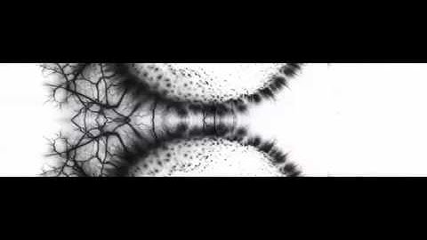 Basement Jaxx - Jump N Shout (Official Visual)