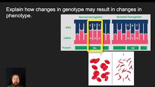 Details Mutations and Selection Update