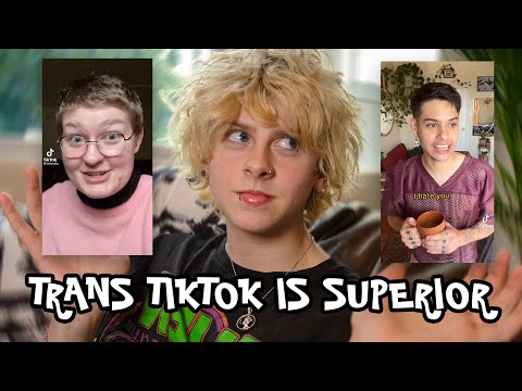 TRANS TIK TOK GOT BETTER (TRANS GUY REACTS) | NOAHFINNCE