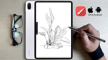 Is Xiaomi Pad 5 Pro a Good Tablet for Drawing? Testing on Infinite Painter App