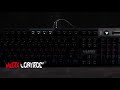 FANTECH MK851 RGB多媒體專業機械式電競鍵盤 product youtube thumbnail
