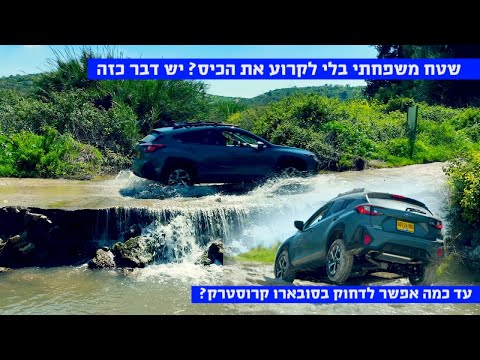 דחקנו בסובארו קרוסטרק עד קצה גבול היכולת, סיפק את הסחורה?