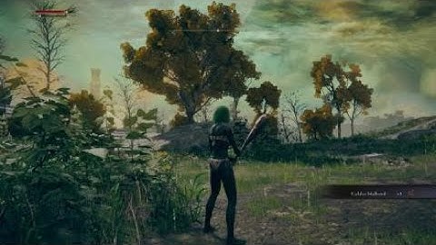 Tree Sentinel RL1 no upgrade