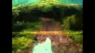 DOINA ☆ MURGULET CU COAMA RARA