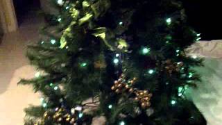 VID-20111024-00012
