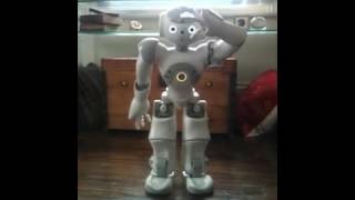 Stanley Qubit (NAO robot) introduces himself and his skills